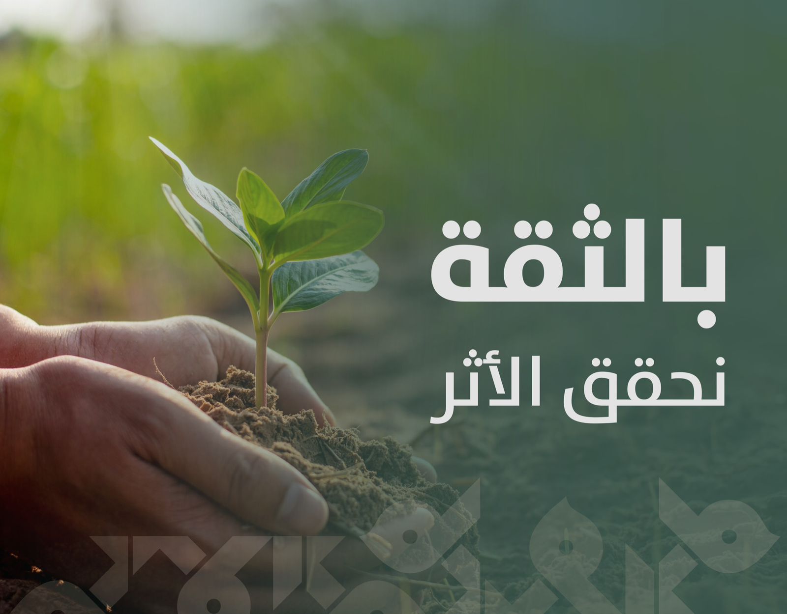 جمعية البر الخيرية بالدوادمي